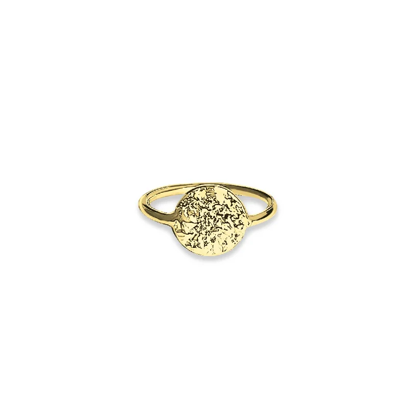 Flash Sale On Exquisite Jewelry – Don't Miss Out Lucky Coin Gold Plated Ring