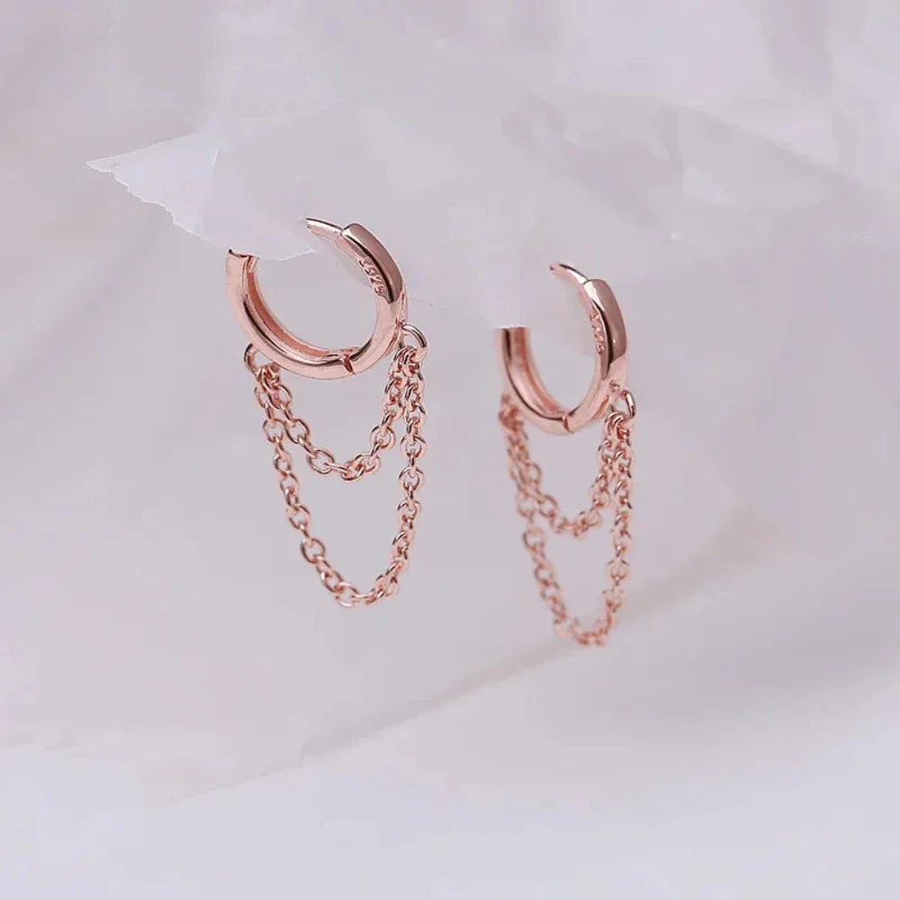 Luxury Jewelry Now At Special Promotional Rates Double Hoop Tassle Fashion Earrings