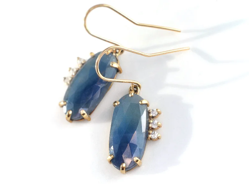 Unlock Unbeatable Jewelry Deals Before They’Re Gone Sapphire Dangle Earrings